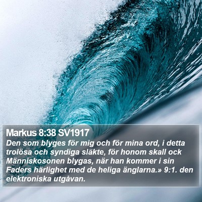 Markus 8:38 SV1917 Bible Verse Image
