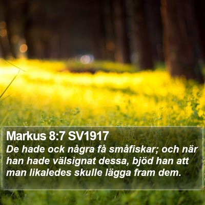 Markus 8:7 SV1917 Bible Verse Image