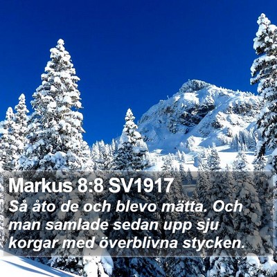 Markus 8:8 SV1917 Bible Verse Image