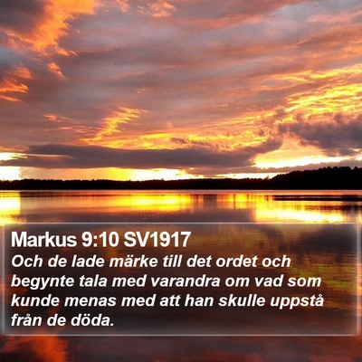 Markus 9:10 SV1917 Bible Verse Image
