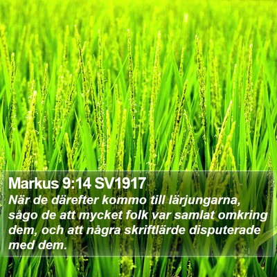 Markus 9:14 SV1917 Bible Verse Image