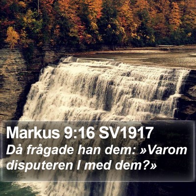 Markus 9:16 SV1917 Bible Verse Image
