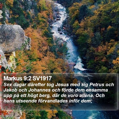 Markus 9:2 SV1917 Bible Verse Image