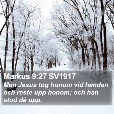 Markus 9:27 SV1917 Bible Verse Image