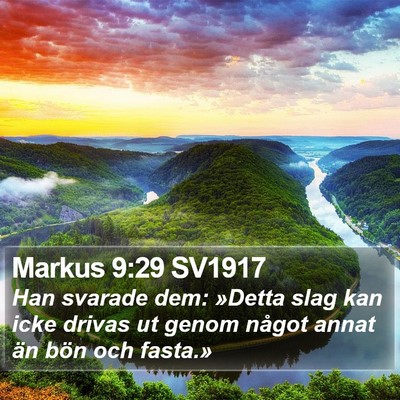 Markus 9:29 SV1917 Bible Verse Image