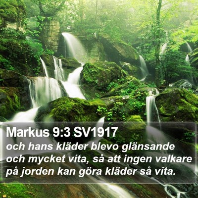 Markus 9:3 SV1917 Bible Verse Image