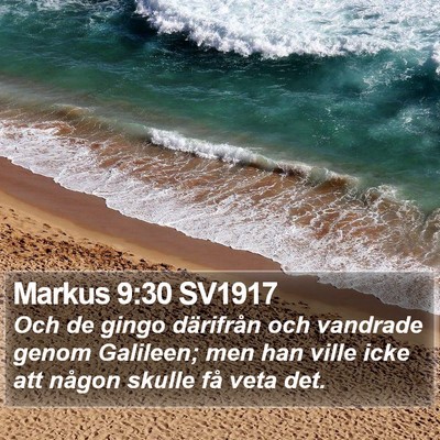 Markus 9:30 SV1917 Bible Verse Image