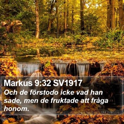 Markus 9:32 SV1917 Bible Verse Image