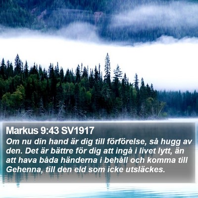 Markus 9:43 SV1917 Bible Verse Image