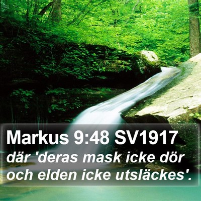 Markus 9:48 SV1917 Bible Verse Image