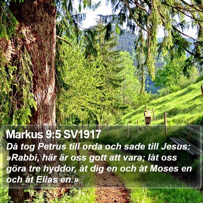 Markus 9:5 SV1917 Bible Verse Image