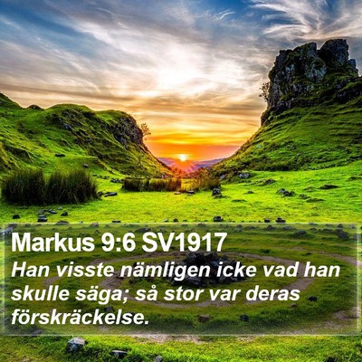Markus 9:6 SV1917 Bible Verse Image