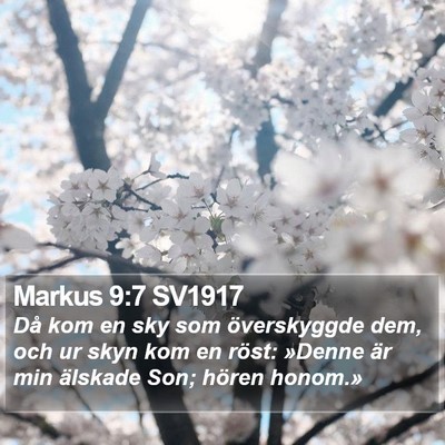 Markus 9:7 SV1917 Bible Verse Image