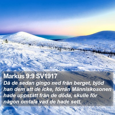 Markus 9:9 SV1917 Bible Verse Image