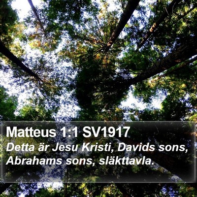 Matteus 1:1 SV1917 Bible Verse Image