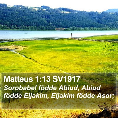 Matteus 1:13 SV1917 Bible Verse Image