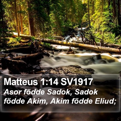 Matteus 1:14 SV1917 Bible Verse Image