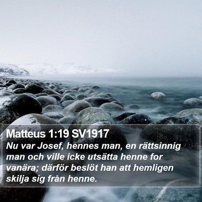 Matteus 1:19 SV1917 Bible Verse Image