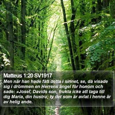 Matteus 1:20 SV1917 Bible Verse Image