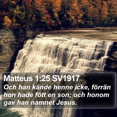 Matteus 1:25 SV1917 Bible Verse Image