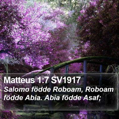 Matteus 1:7 SV1917 Bible Verse Image