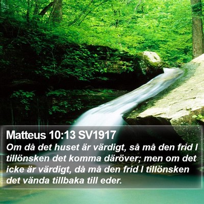 Matteus 10:13 SV1917 Bible Verse Image