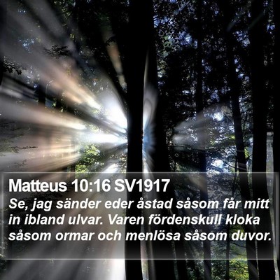 Matteus 10:16 SV1917 Bible Verse Image