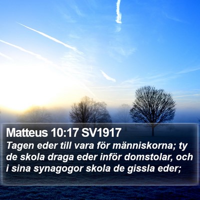 Matteus 10:17 SV1917 Bible Verse Image