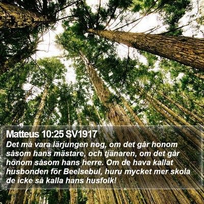 Matteus 10:25 SV1917 Bible Verse Image