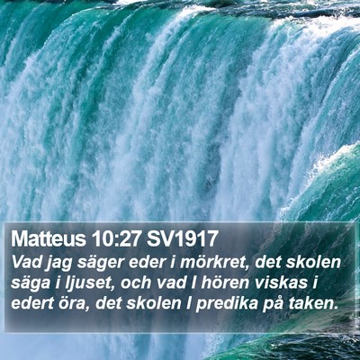 Matteus 10:27 SV1917 Bible Verse Image