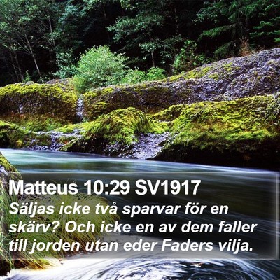 Matteus 10:29 SV1917 Bible Verse Image