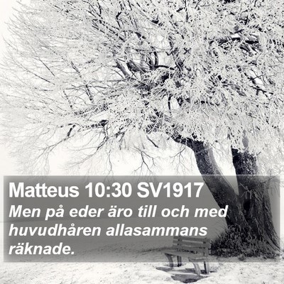 Matteus 10:30 SV1917 Bible Verse Image