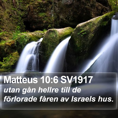 Matteus 10:6 SV1917 Bible Verse Image