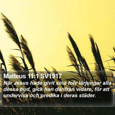 Matteus 11:1 SV1917 Bible Verse Image