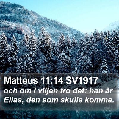 Matteus 11:14 SV1917 Bible Verse Image