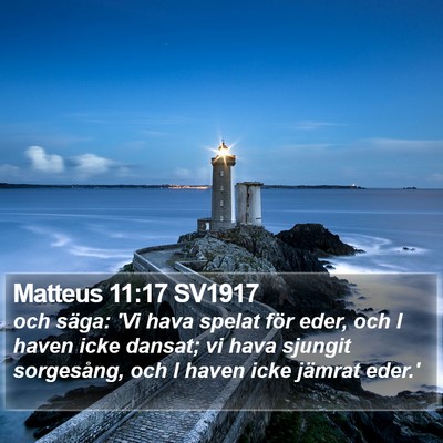 Matteus 11:17 SV1917 Bible Verse Image