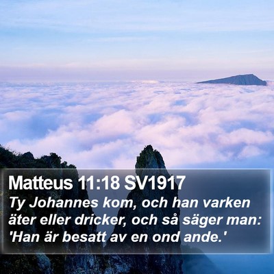 Matteus 11:18 SV1917 Bible Verse Image