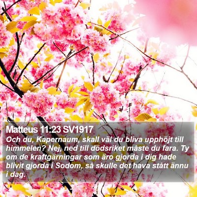 Matteus 11:23 SV1917 Bible Verse Image