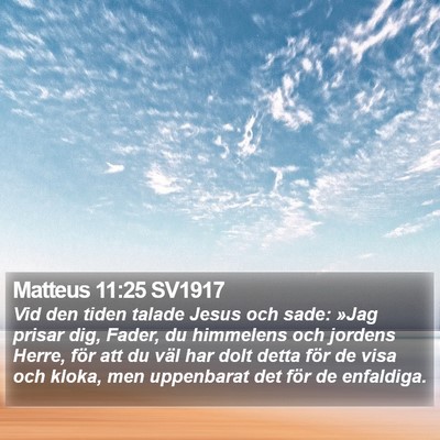 Matteus 11:25 SV1917 Bible Verse Image
