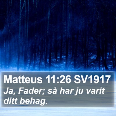 Matteus 11:26 SV1917 Bible Verse Image