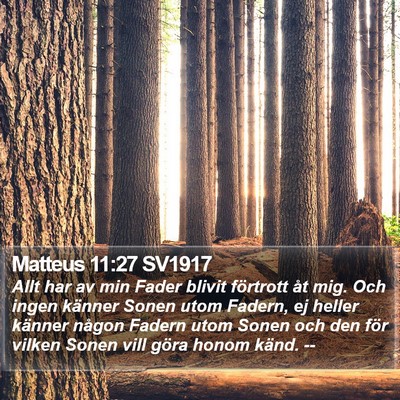 Matteus 11:27 SV1917 Bible Verse Image