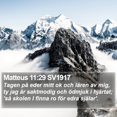 Matteus 11:29 SV1917 Bible Verse Image
