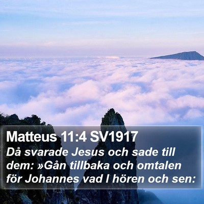 Matteus 11:4 SV1917 Bible Verse Image