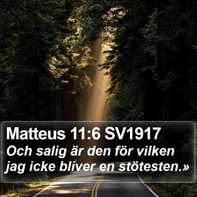 Matteus 11:6 SV1917 Bible Verse Image
