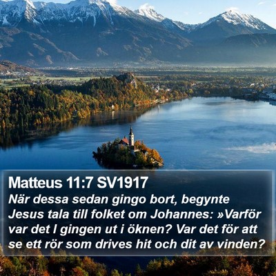 Matteus 11:7 SV1917 Bible Verse Image