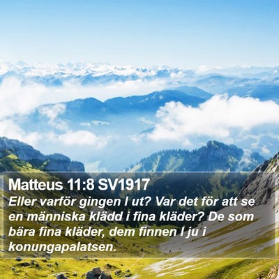 Matteus 11:8 SV1917 Bible Verse Image