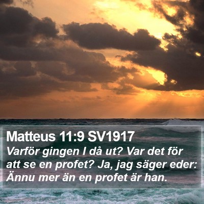 Matteus 11:9 SV1917 Bible Verse Image