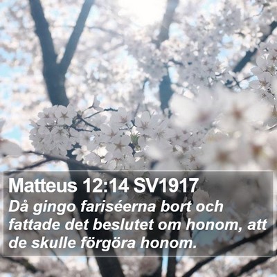Matteus 12:14 SV1917 Bible Verse Image