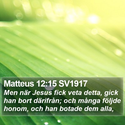 Matteus 12:15 SV1917 Bible Verse Image