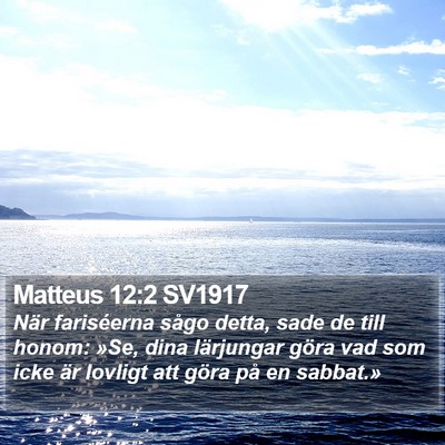 Matteus 12:2 SV1917 Bible Verse Image